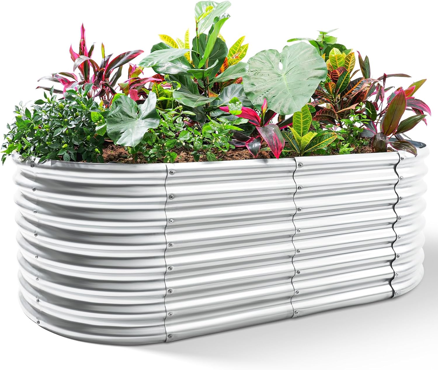 Planter Raised Metal - Bac à légumes surélevé galvanisé, 8x4x2