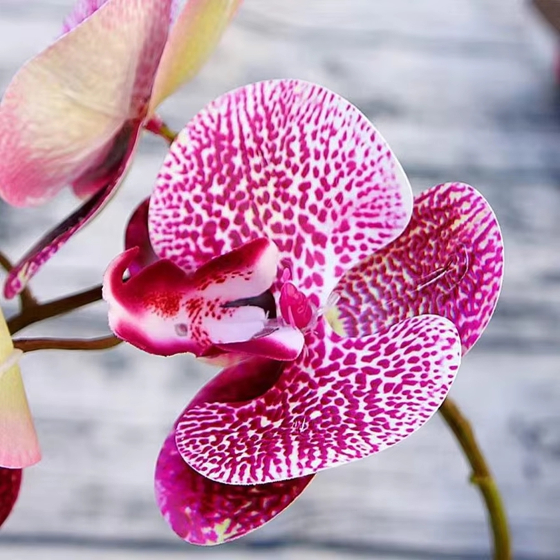 Fleurs artificielles 3D en pla - Outdoor Furniture Usa avis et prix
