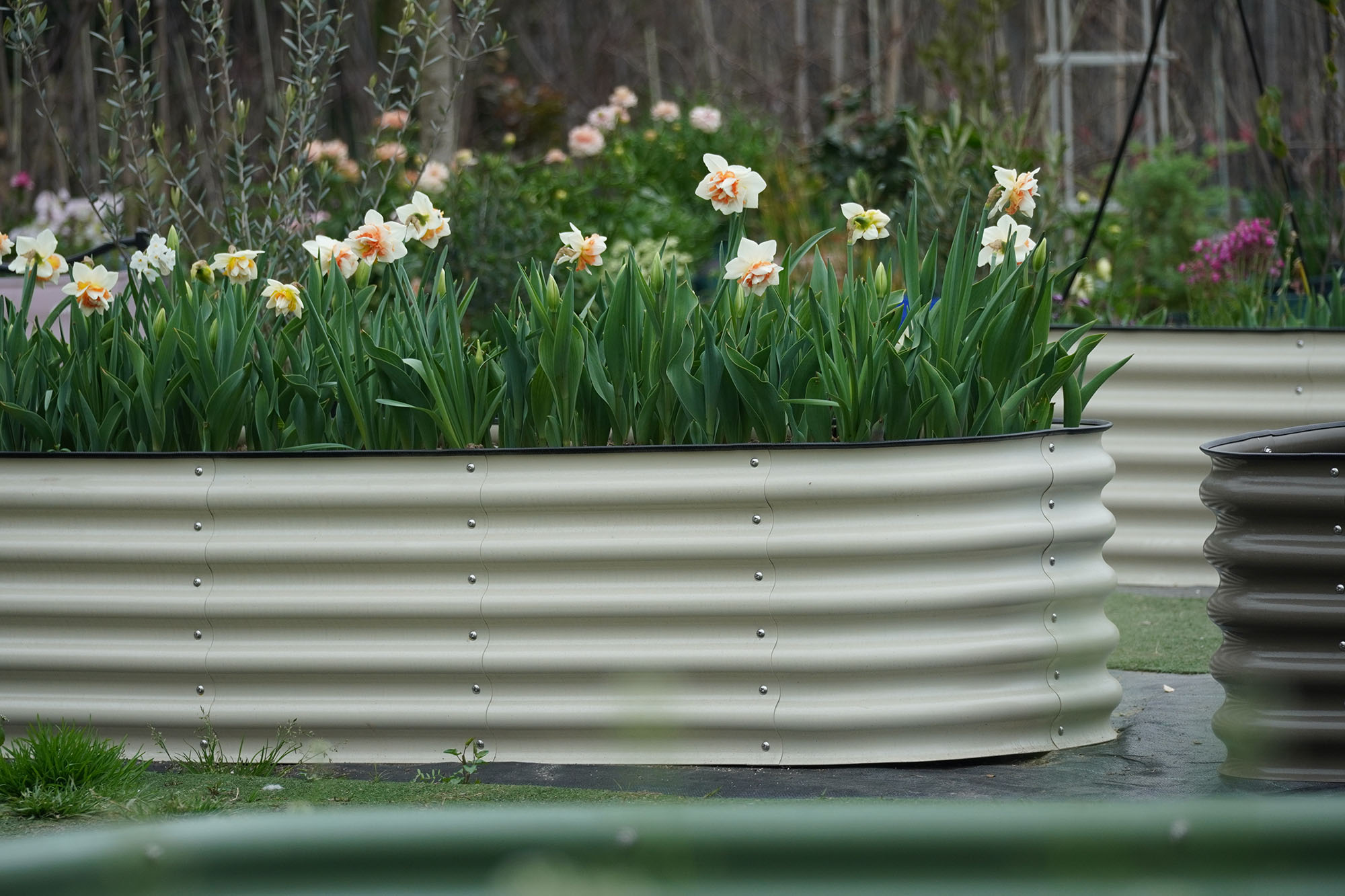 Grand kit de jardinière suréle - Planter Raised Metal avis et prix